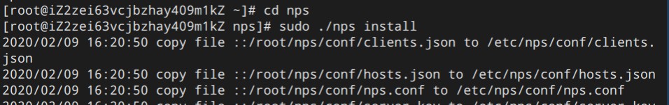 进入文件夹和安装nps
